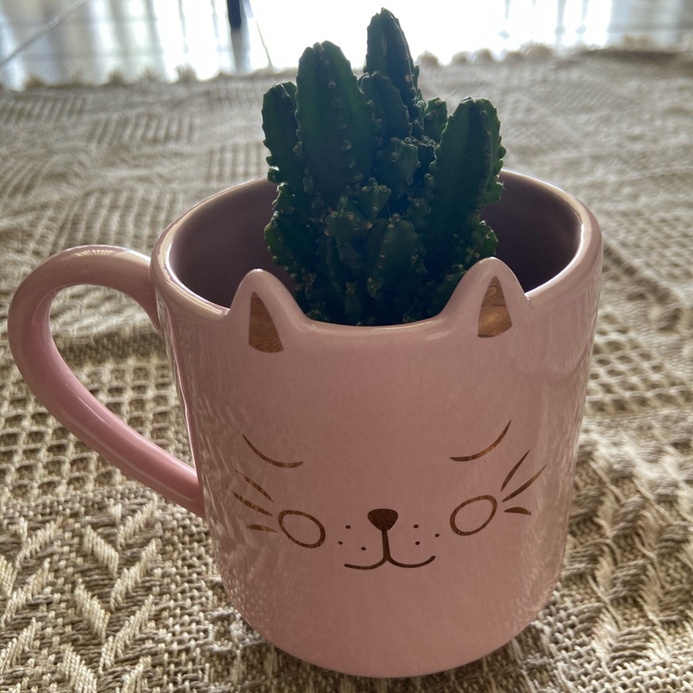 🐱🌸 Cute Pink & Rose Gold Kitty Mug 🌸🐱